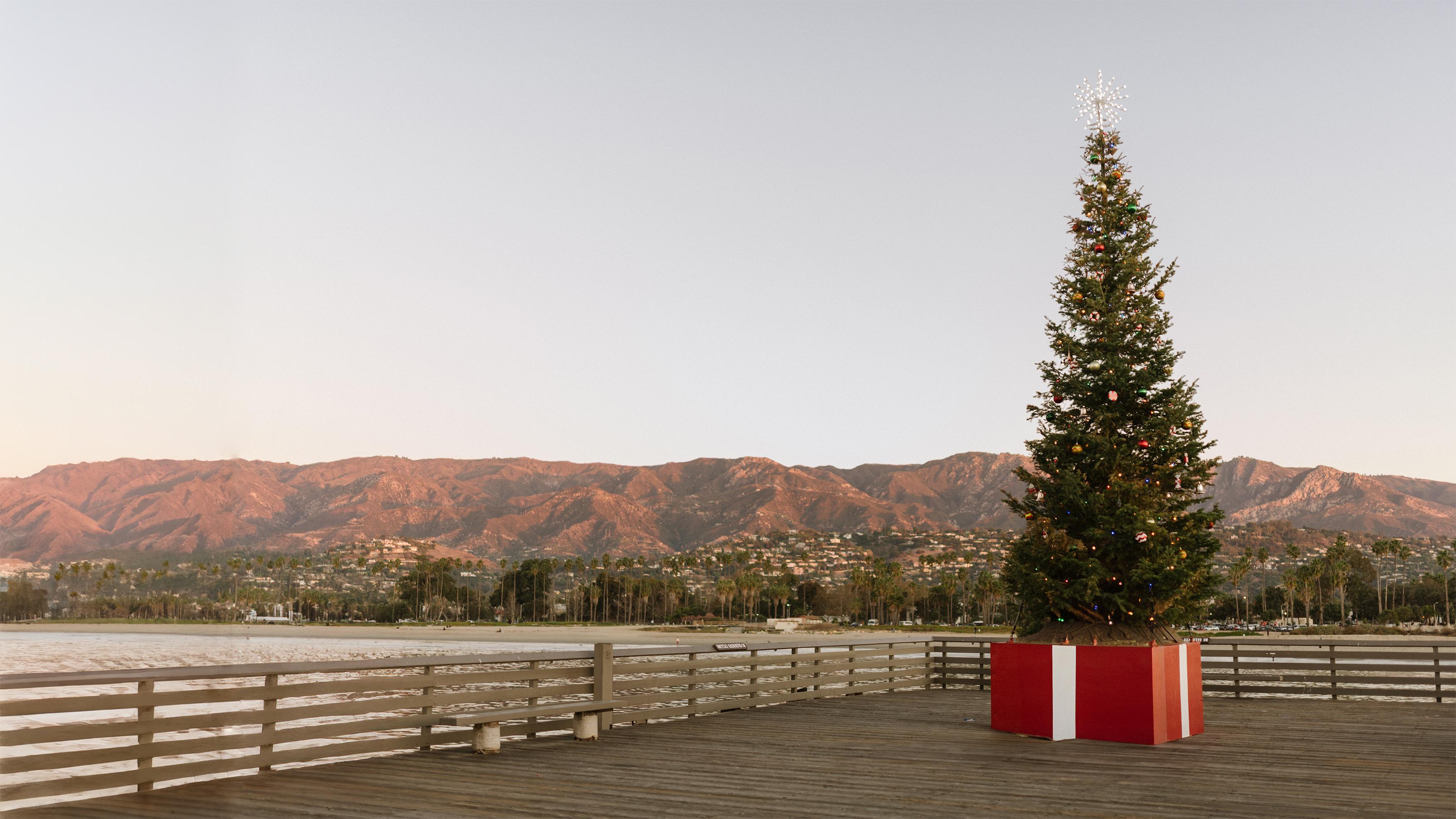 christmas tree on sterns wharf